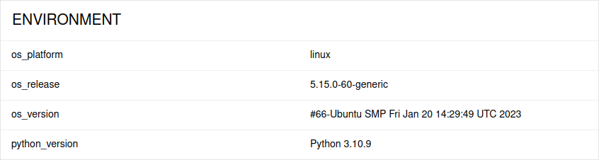 Allure Report test run environment